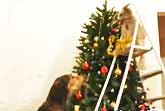 Dogs Decorate Xmas Tree