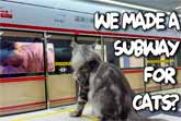 Feline Express: A Purr-fect Miniature Subway for Cats