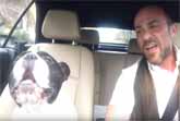French Bulldog And His Owner Perform Duet Of Rihanna's ‘Diamonds’