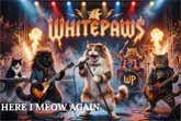'Here I Meow Again' - Cats Rock the 80s