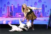Hero The Super Collie And Sara Carson - America’s Got Talent 2017