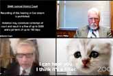 I'm Not a Cat! - Lawyer’s Hilarious Zoom Filter Mishap