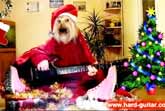 We Wish You A Merry Christmas – Dog Playing Guitar